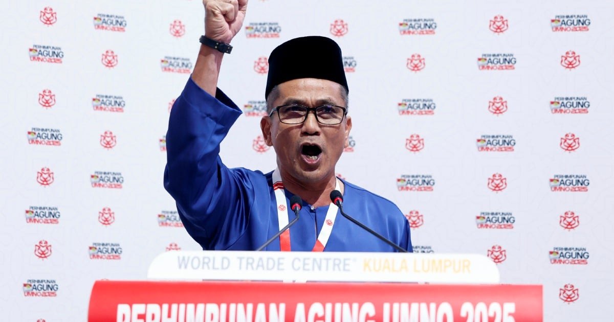 Umno Johor urges focus on development amid warning against divisive politics