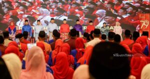 Umno has more mature and cautious strategy now, say experts