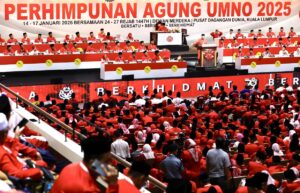 Umno must improve approach to attract young voters, says delegate