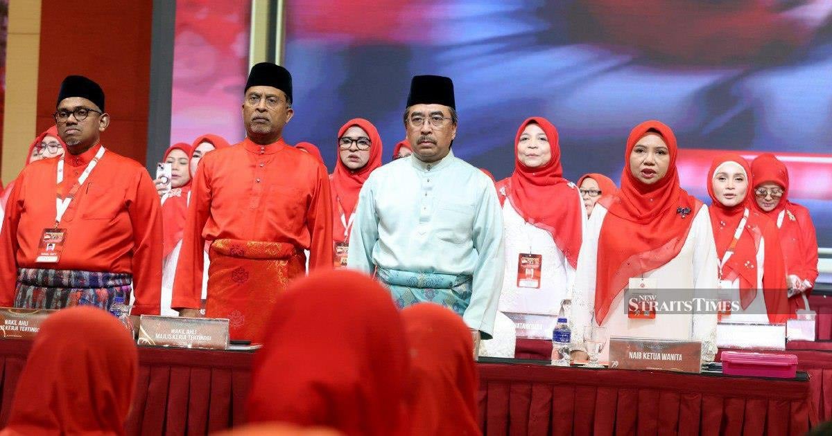 Umno welcomes greater participation of Wanita candidates in elections - Johari