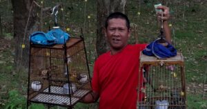Urine tests weed out drugged birds, restoring fair play in Kg Tersang