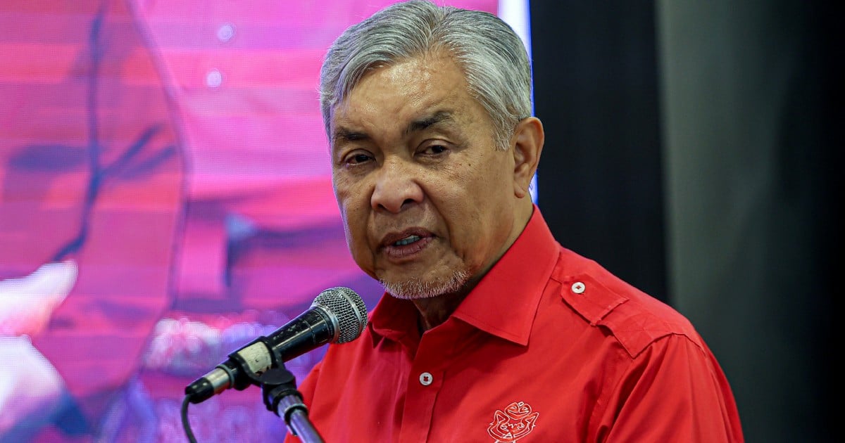 Zahid regrets 'divided DAP' comment, aligns with Loke's statement