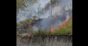 Firefighters monitor residual burning after Penang Botanical Gardens fire