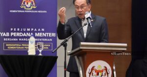 Govt does not oppose pig farming, but locations must respect harmony, says Anwar