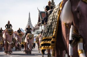 Indonesia negara Asia pertama larang tunggang gajah