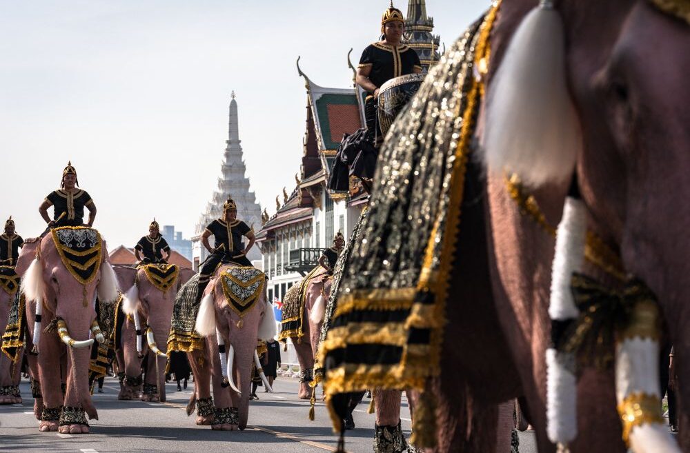 Indonesia negara Asia pertama larang tunggang gajah