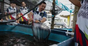 It’s hook, line and profit for Selangor’s village fish project