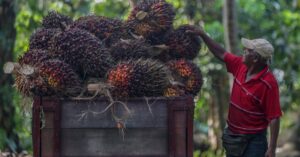 Johor Plantations earnings forecasts raised by RHB Research