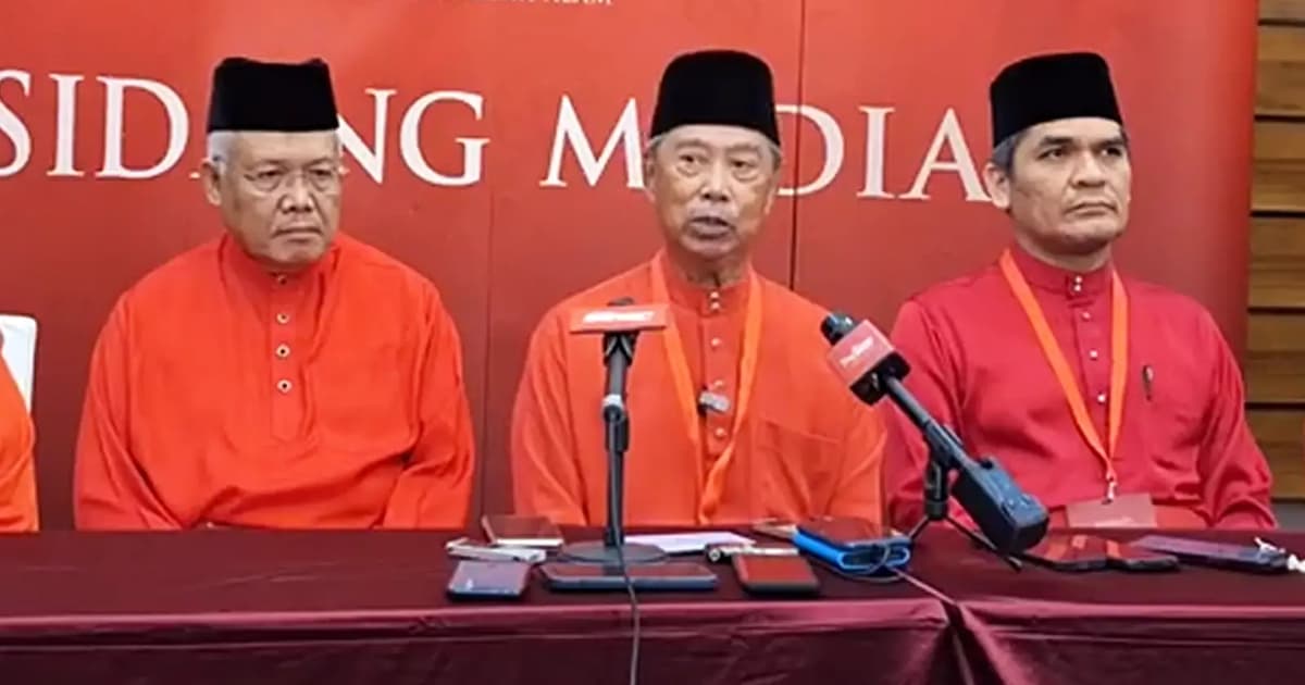 Let Hamzah, Radzi lead Bersatu into GE16, says division chief