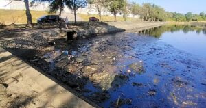 Pollution at Bukit Rambai pond linked to industrial wastewater, says DOE