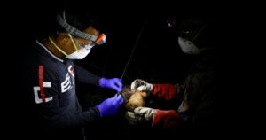 WHO says one person dead from Nipah virus in Bangladesh