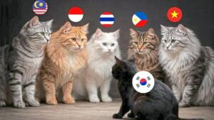 Editorial: The SEAblings have spoken