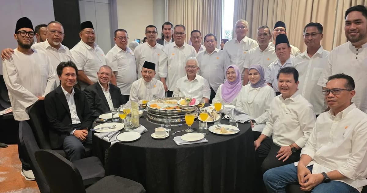 Hamzah appointed Wawasan president | FMT