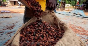 Why a strong El Nino puts cocoa, coffee and sugar crops at risk