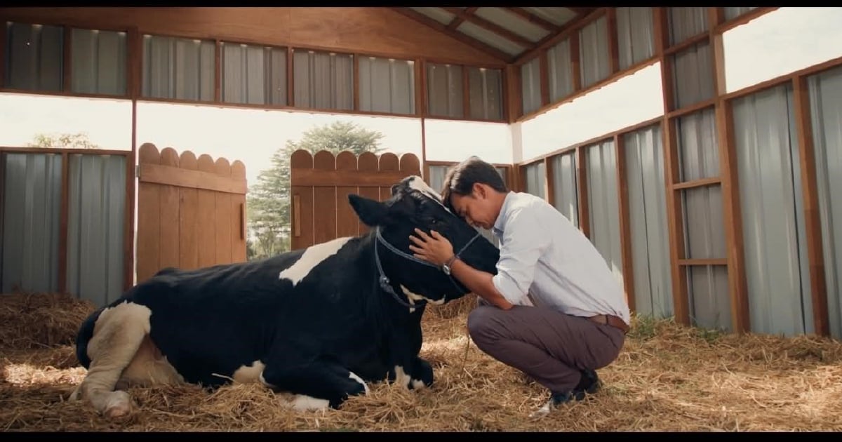 #SHOWBIZ: Min Lim unveils a moo-vie star