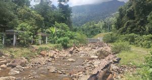 All SOPs followed, says Yan camp operator after 39 fall ill