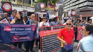 Animal welfare groups protest Negri's decision to sanction culling of strays in the state
