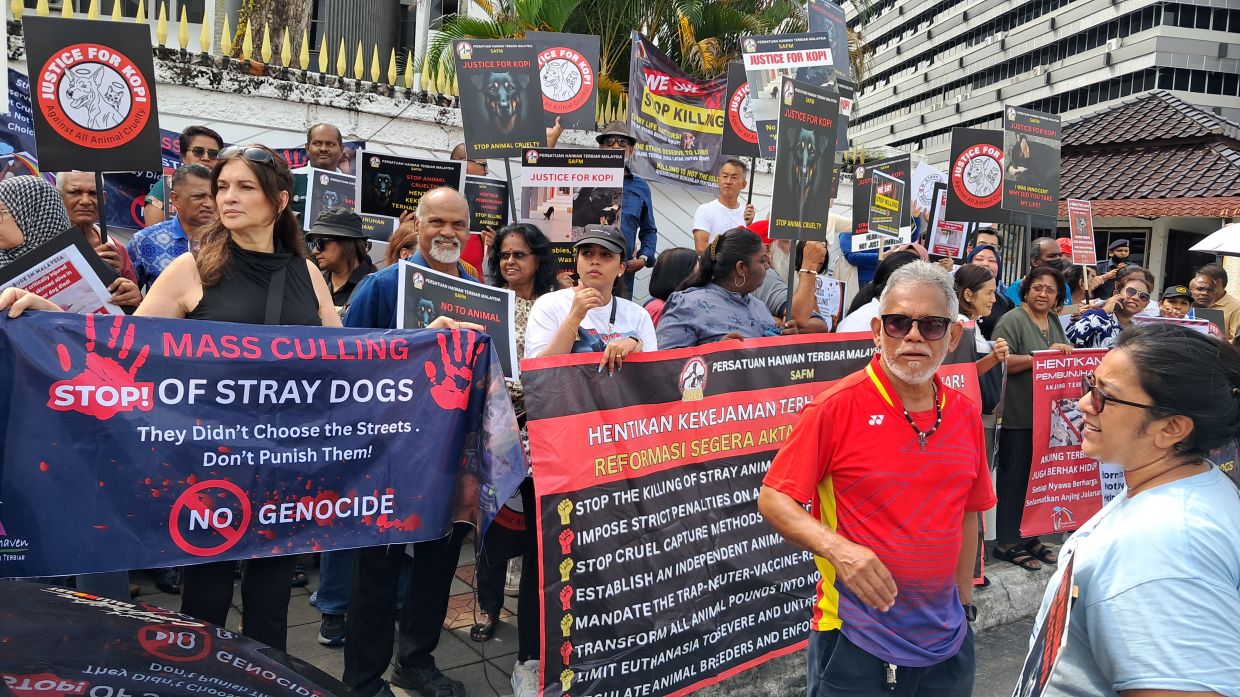 Animal welfare groups protest Negri's decision to sanction culling of strays in the state