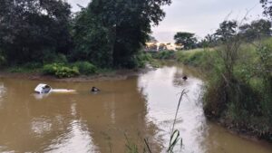 Bomba to use drones in search for missing influencer