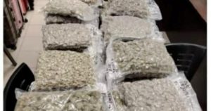 Cops bust ganja ring shipping to Europe