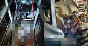 DOSH still investigating fatal rack collapse at Kuala Langat glove factory