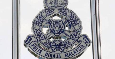 Dentist loses RM300,440 to online job scam