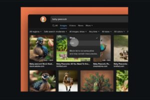 DuckDuckGo AI filter