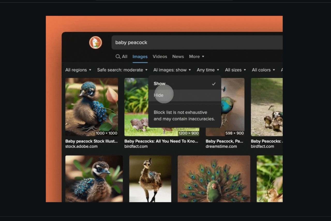 DuckDuckGo AI filter