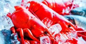 EU May Extend US Lobster Deal to Avoid Trump Tariffs