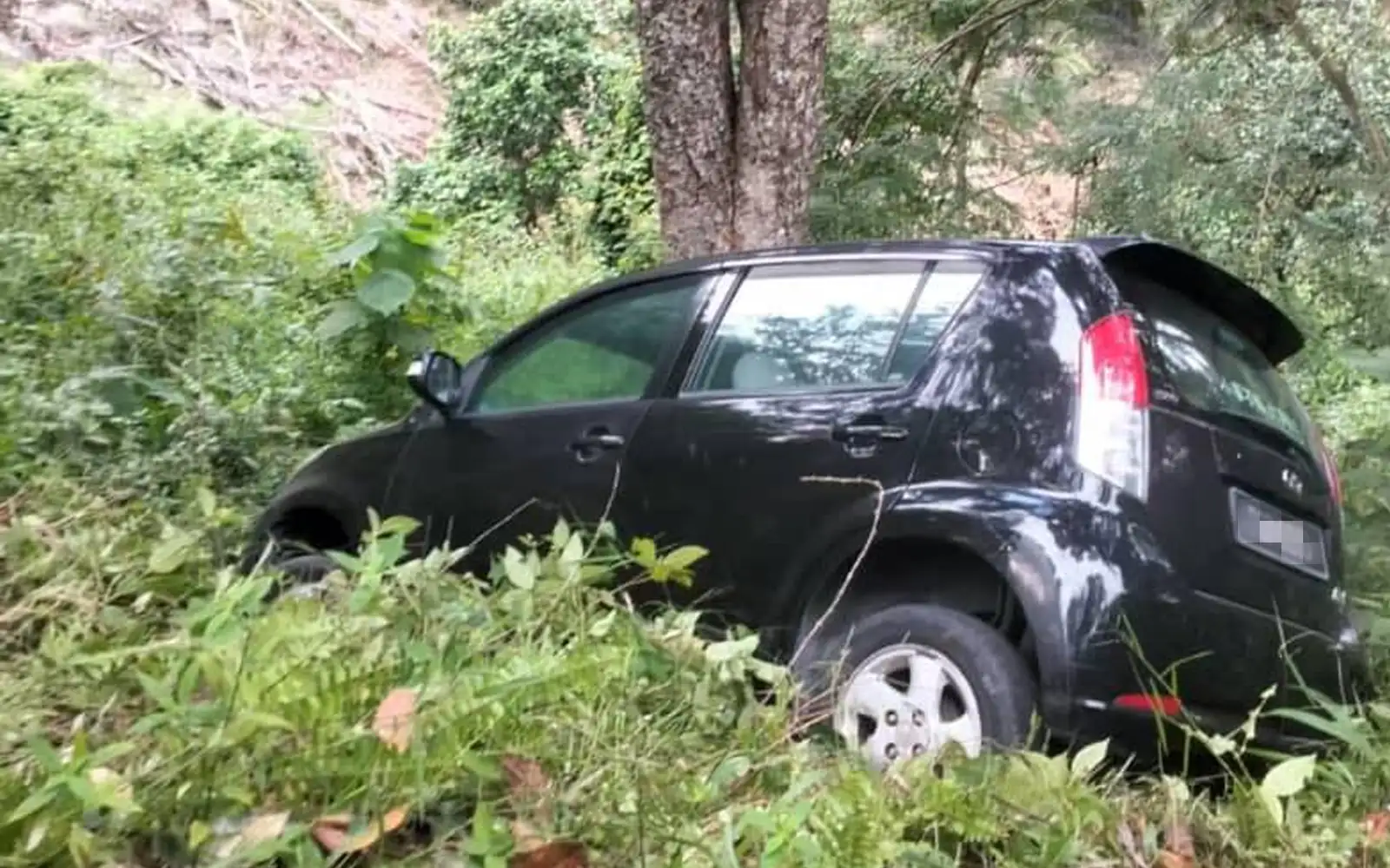 Elderly man found a day after car falls down 30m slope