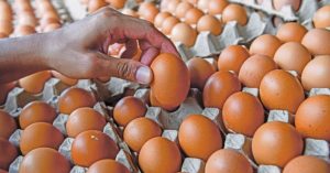 Fomca backs egg subsidy removal, calls for consumer protection measures
