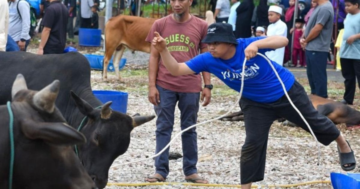 French tourists experience Aidiladha 'korban' in Kota Baru