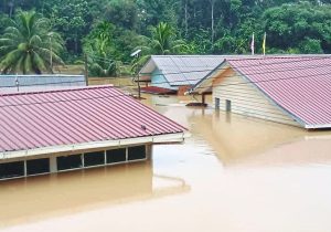 Green solutions can outpace floods, says WWF-Malaysia