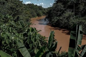Groups urge PM to reform timber certification system