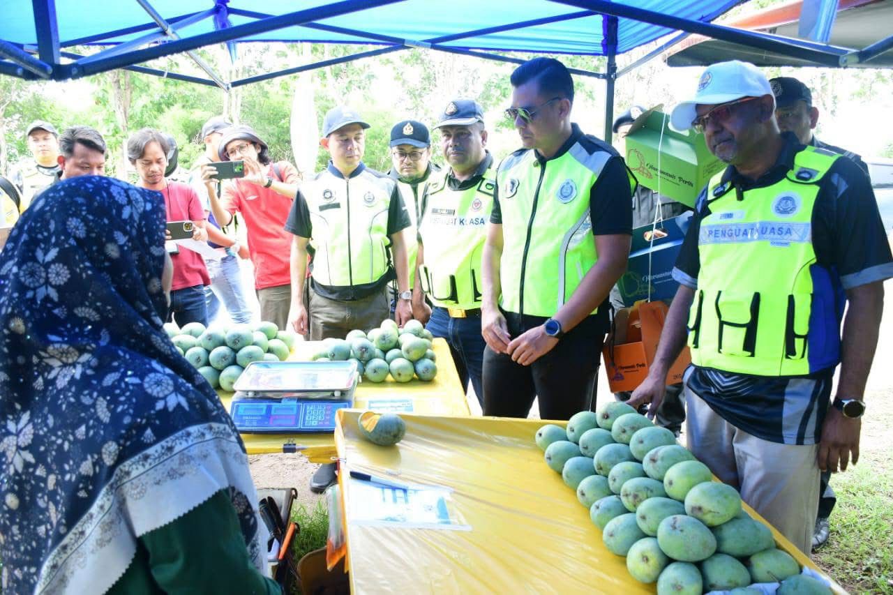 Harumanis: MPK terima lebih 30 permohonan permit sementara