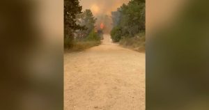 Inferno in Israel: Wildfires force evacuations, highway shutdown