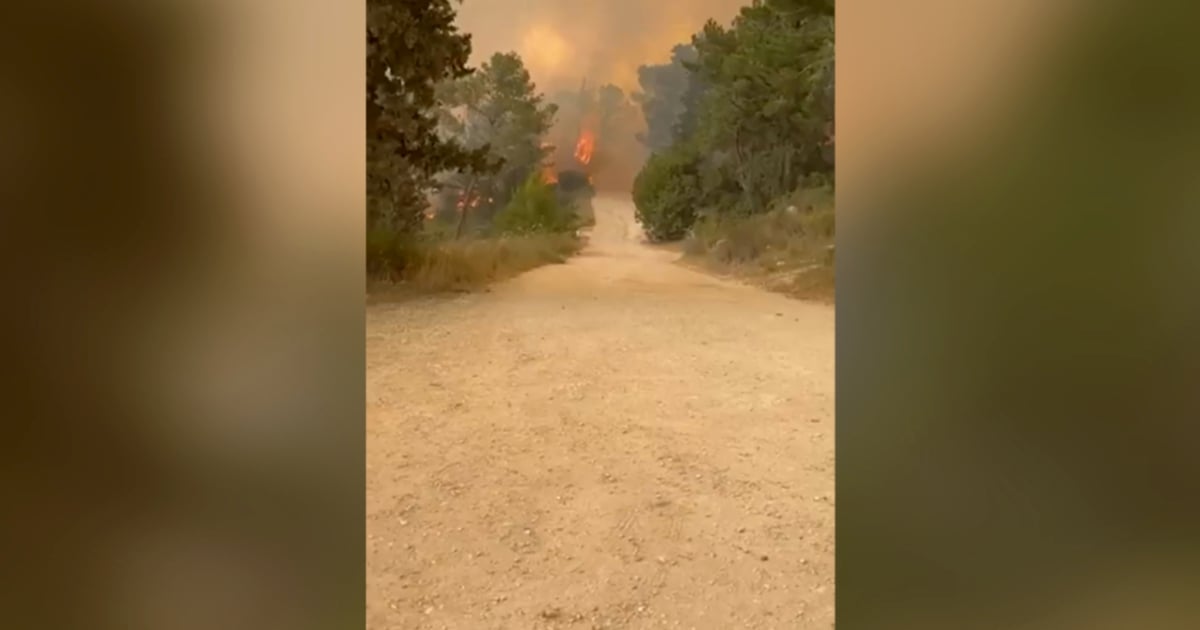 Inferno in Israel: Wildfires force evacuations, highway shutdown