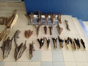 International smuggling syndicate dismantled in Limbang