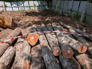 Kayu tanpa permit, peralatan bernilai lebih RM31.2 juta disita