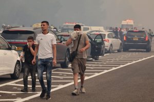Kebakaran hutan Israel kembali marak selepas beberapa jam dikawal