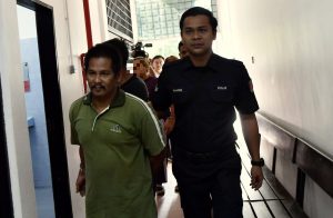 Lorry driver in FRU crash pleads not guilty to concealing stolen cows