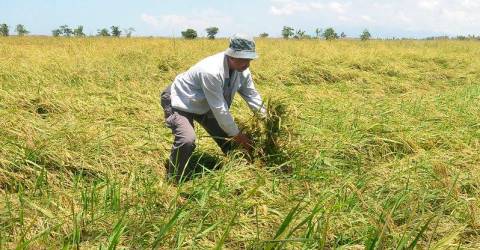 Malaysia, Russia to boost ties in agriculture, food security