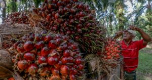 Malaysia to show EU officials its sustainable palm oil practices: Johari Ghani