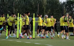 Cover Image for Harimau Malaya tarik diri, persiapan Piala Cafa terganggu