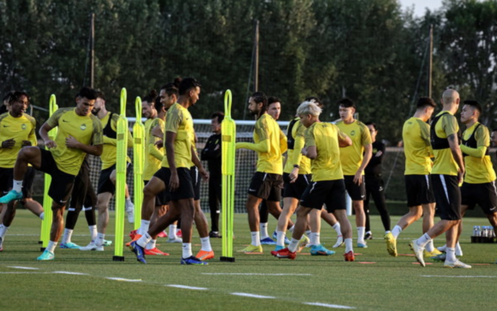 Cover Image for Harimau Malaya tarik diri, persiapan Piala Cafa terganggu