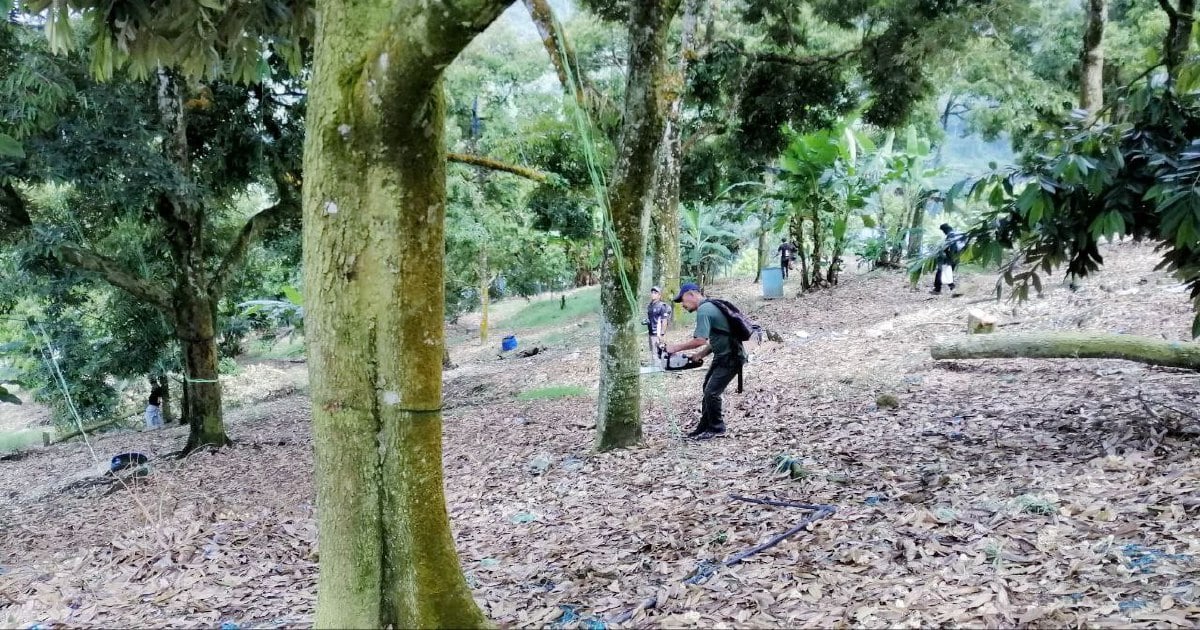 NST Leader: The crime of land encroachment
