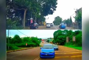 QuickCheck: Did a woman drive against traffic near a school in Segamat?