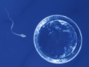 QuickCheck: Was a man prohibited from donating to fertility clinics after fathering hundreds of children?