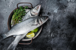 Saintis rancang ternak ikan siakap di angkasa lepas