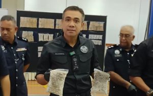 Sindiket edar bunga ganja bernilai RM2.64 juta ke Eropah tumpas